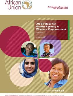 AU Strategy for Gender Equality & Women's Empowerment
