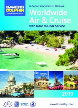 Worldwide Air & Cruise 2019 - Bakers Dolphin