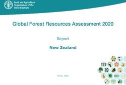 New Zealand Report Rome, 2020