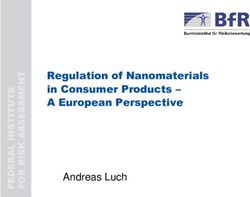 Andreas Luch - Regulation of Nanomaterials in Consumer Products - A European Perspective - Bund.de