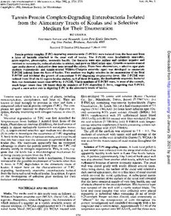 Tannin-Protein Complex-Degrading Enterobacteria Isolated from the Alimentary Tracts of Koalas and a Selective Medium for Their Enumeration