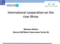 International cooperation on the river Rhine - Maarten Hofstra Unesco IHE/Water Governance Centre NL - UNECE