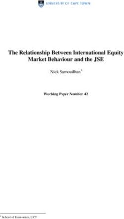 The Relationship Between International Equity Market Behaviour and the JSE - Nick Samouilhan1