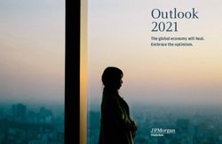 Outlook 2021 The global economy will heal. Embrace the optimism - JP ...