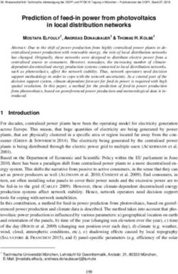 Prediction of feed-in power from photovoltaics in local distribution networks - DGPF