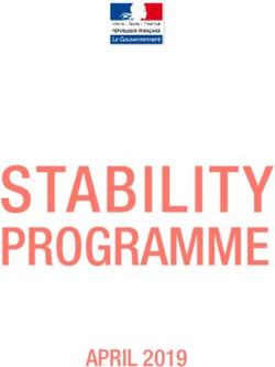 STABILITY PROGRAMME APRIL 2019