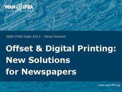 Offset & Digital Printing: New Solutions for Newspapers - WAN-IFRA Italia 2013 - Panel Session