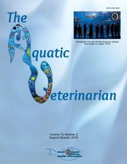 Volume 13, Number 2 Second Quarter, 2019 - WAVMA