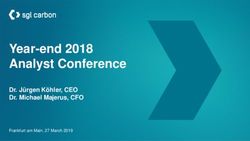 Year-end 2018 Analyst Conference - Dr. Jürgen Köhler, CEO Dr. Michael Majerus, CFO - SGL Carbon