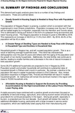 SUMMARY OF FINDINGS AND CONCLUSIONS - Niagara Region ...