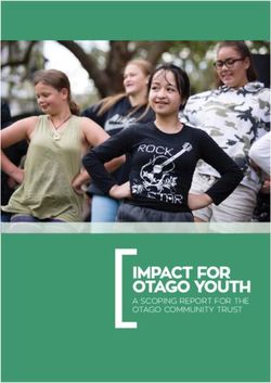 IMPACT FOR OTAGO YOUTH - A SCOPING REPORT FOR THE OTAGO COMMUNITY TRUST