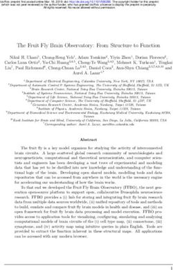 The Fruit Fly Brain Observatory: From Structure to Function - bioRxiv