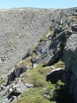 American Pipit (Anthus rubescens) Surveys on Mount Washington, June 2018 through August 2020