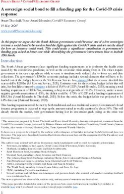 A sovereign social bond to fill a funding gap for the Covid-19 crisis response - Covid-19 Economic Ideas