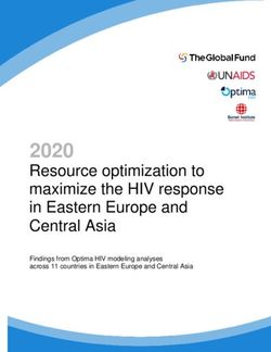 2020 Resource optimization to maximize the HIV response in Eastern Europe and Central Asia - Optima