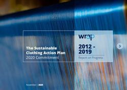 2012 2019 The Sustainable Clothing Action Plan - 2020 Commitment - Wrap