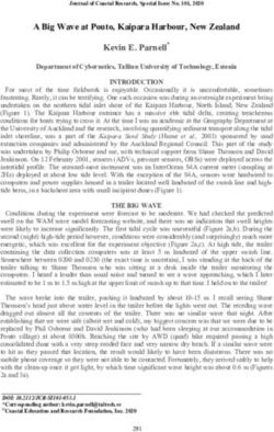 A Big Wave at Pouto, Kaipara Harbour, New Zealand Kevin E. Parnell* - Allen Press