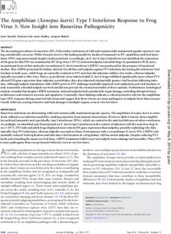 The Amphibian (Xenopus laevis) Type I Interferon Response to Frog Virus 3: New Insight into Ranavirus Pathogenicity