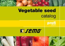 Vegetable seed catalog profi 2020 - SEMO