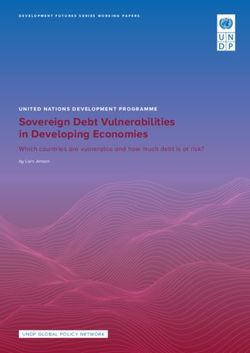 Sovereign Debt Vulnerabilities in Developing Economies