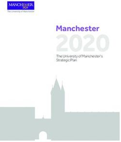 2020 The University of Manchester's Strategic Plan