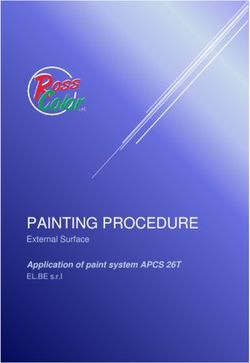 PAINTING PROCEDURE External Surface - Application of paint system APCS 26T - Bull hoists-cranes