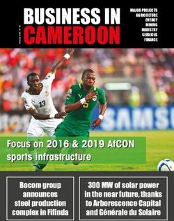 6CAMEROON - Business in ...