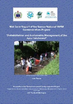 Mid-Term Report of the Samoa National IWRM Demonstration Project: "Rehabilitation and Sustainable Management of the Apia Catchment"