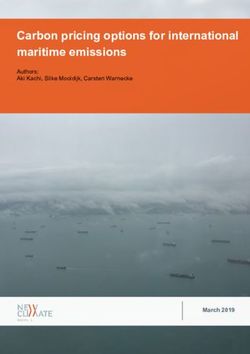 Carbon pricing options for international maritime emissions - March 2019 - Authors: Aki Kachi, Silke Mooldijk, Carsten Warnecke