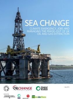SEA CHANGE CLIMATE EMERGENCY, JOBS AND MANAGING THE PHASE-OUT OF UK OIL AND GAS EXTRACTION - Oil Change International