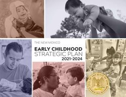 STRATEGIC PLAN EARLY CHILDHOOD THE NEW MEXICO - Early Childhood Education and Care ...