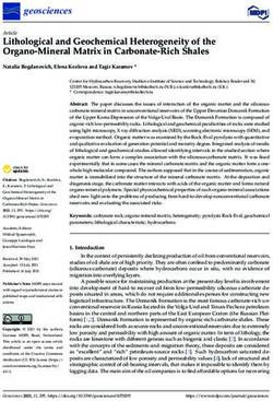 Lithological and Geochemical Heterogeneity of the Organo-Mineral Matrix in Carbonate-Rich Shales