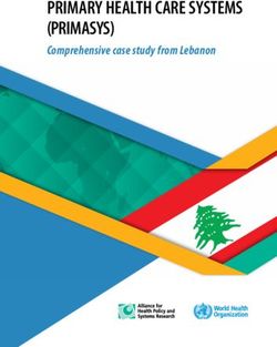 PRIMARY HEALTH CARE SYSTEMS (PRIMASYS) - Comprehensive case study from Lebanon - World Health ...