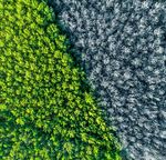 UK Economic Outlook July 2021 - pwc.co.uk/economics