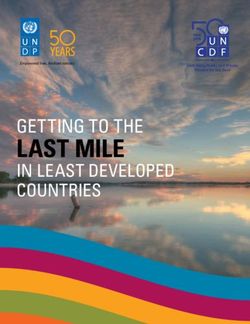 LAST MILE GETTING TO THE - UNDP