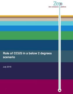 Role of CCUS in a below 2 degrees scenario - July 2018 - NTNU