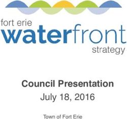 Council Presentation July 18, 2016 - Town of Fort Erie