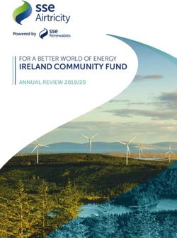 IRELAND COMMUNITY FUND - FOR A BETTER WORLD OF ENERGY ANNUAL REVIEW 2019/20 - SSE Renewables