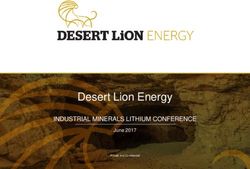 Desert Lion Energy INDUSTRIAL MINERALS LITHIUM CONFERENCE - June 2017