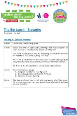 The Big Lunch - Brownies - (2 meetings - in a row)