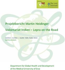 Projektbericht Martin Heidinger Volontariat Indien - Lepra on the Road - Department for Global Health and Development of the Medical University of ...