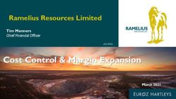 Cost Control & Margin Expansion - Ramelius Resources Limited Tim Manners