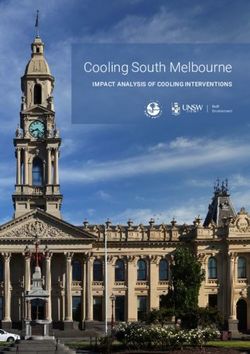 Cooling South Melbourne - IMPACT ANALYSIS OF COOLING INTERVENTIONS - Urban Heat Island Mitigation ...