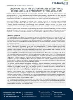 CHEMICAL PLANT PFS DEMONSTRATES EXCEPTIONAL ECONOMICS AND OPTIONALITY OF USA LOCATION