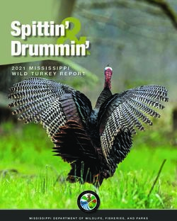 Spittin' Drummin' 2021 MISSISSIPPI WILD TURKEY REPORT - MISSISSIPPI DEPARTMENT OF WILDLIFE, FISHERIES, AND PARKS - MDWFP