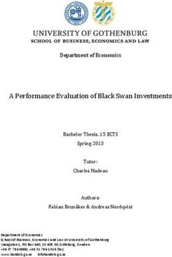 A Performance Evaluation of Black Swan Investments