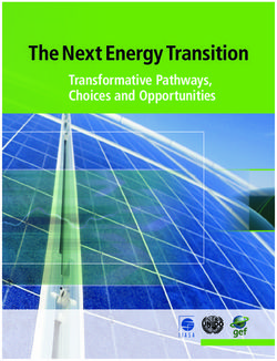 The Next Energy Transition - Transformative Pathways, Choices and Opportunities