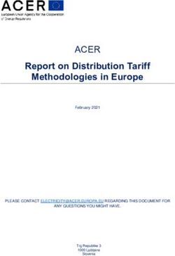 ACER Report on Distribution Tariff Methodologies in Europe