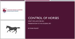 CONTROL OF HORSES DRAFT BYE-LAWS FEB 2021. PRESENTATION TO THE HOUSING SPC BY: EVAN MULVEY - Galway ...