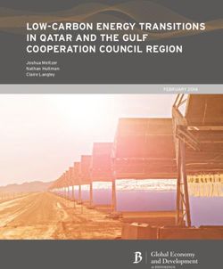 LOW-CARBON ENERGY TRANSITIONS IN QATAR AND THE GULF COOPERATION COUNCIL REGION - FEBRUARY 2014 Joshua Meltzer Nathan Hultman Claire Langley